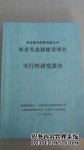 北京可行性研究報告哪家公司寫得好